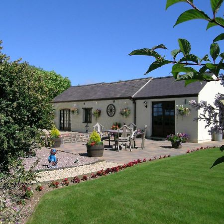 Y Stabl Villa Fishguard Exteriör bild